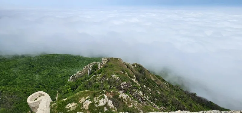 Лилия