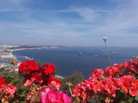 Красивые пейзажи