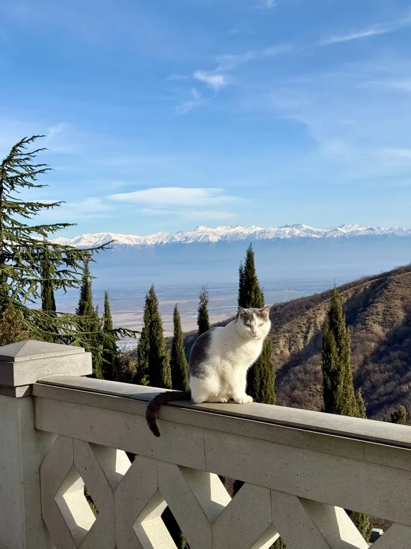 Кристина