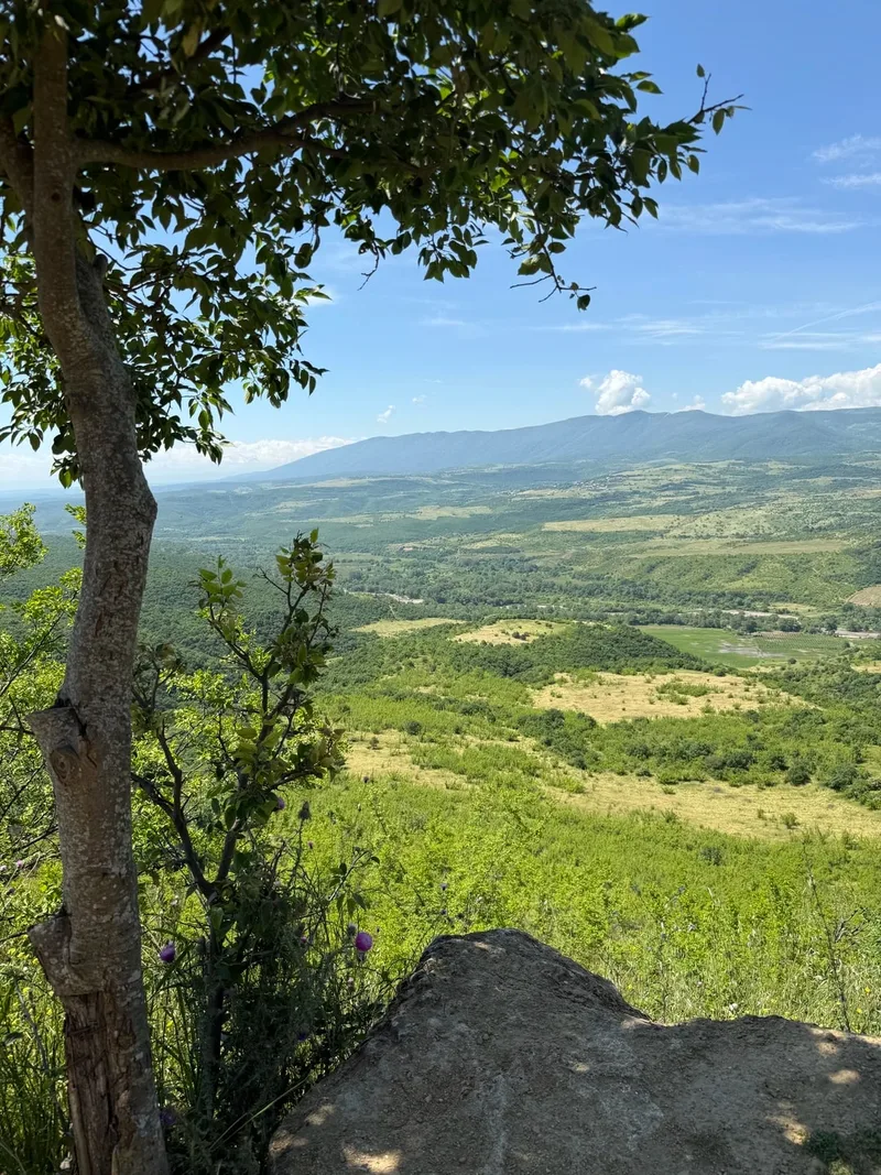 Наталья