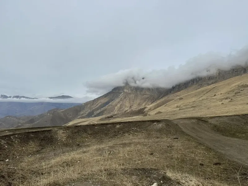 Наиля