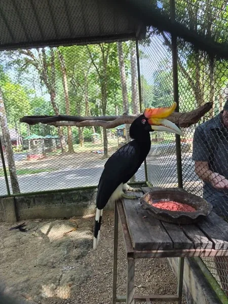 Андрей