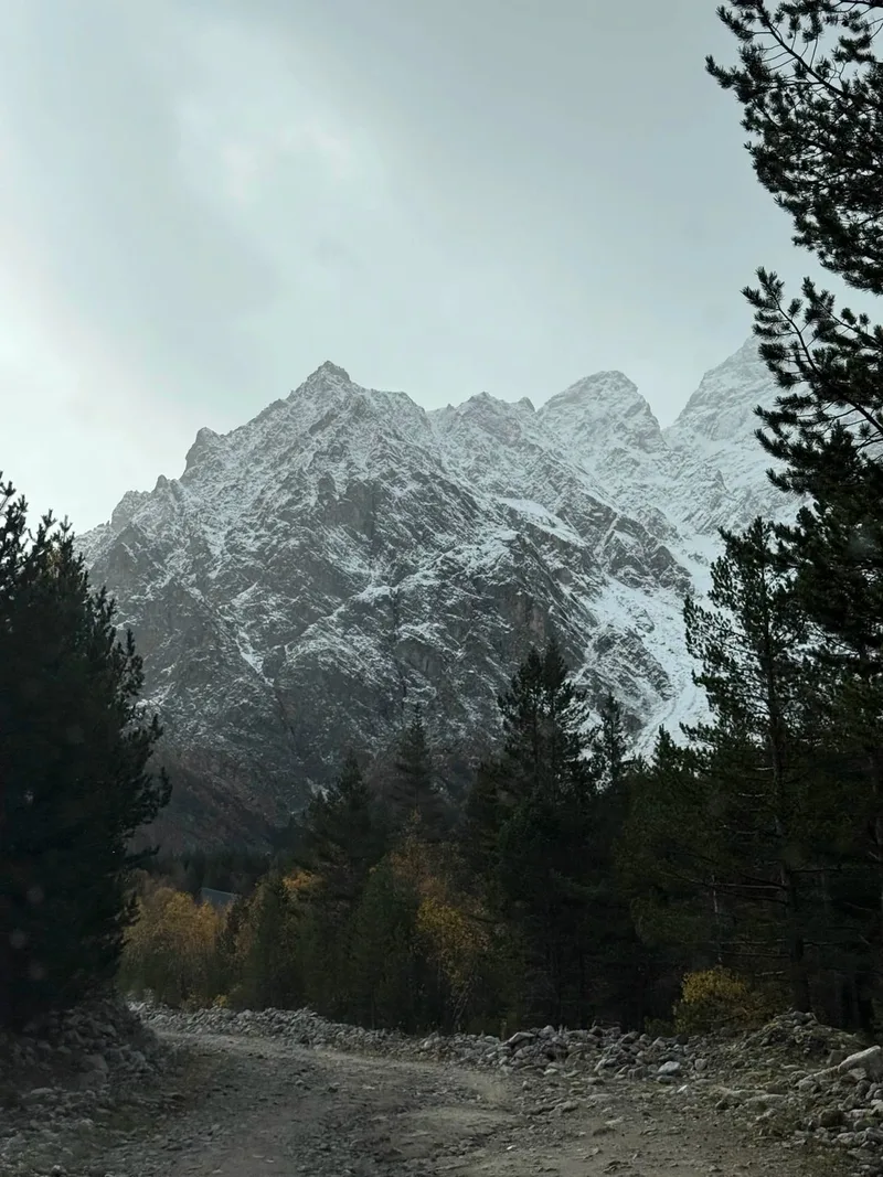 Галина