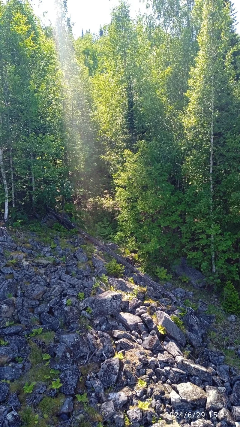 Наталья