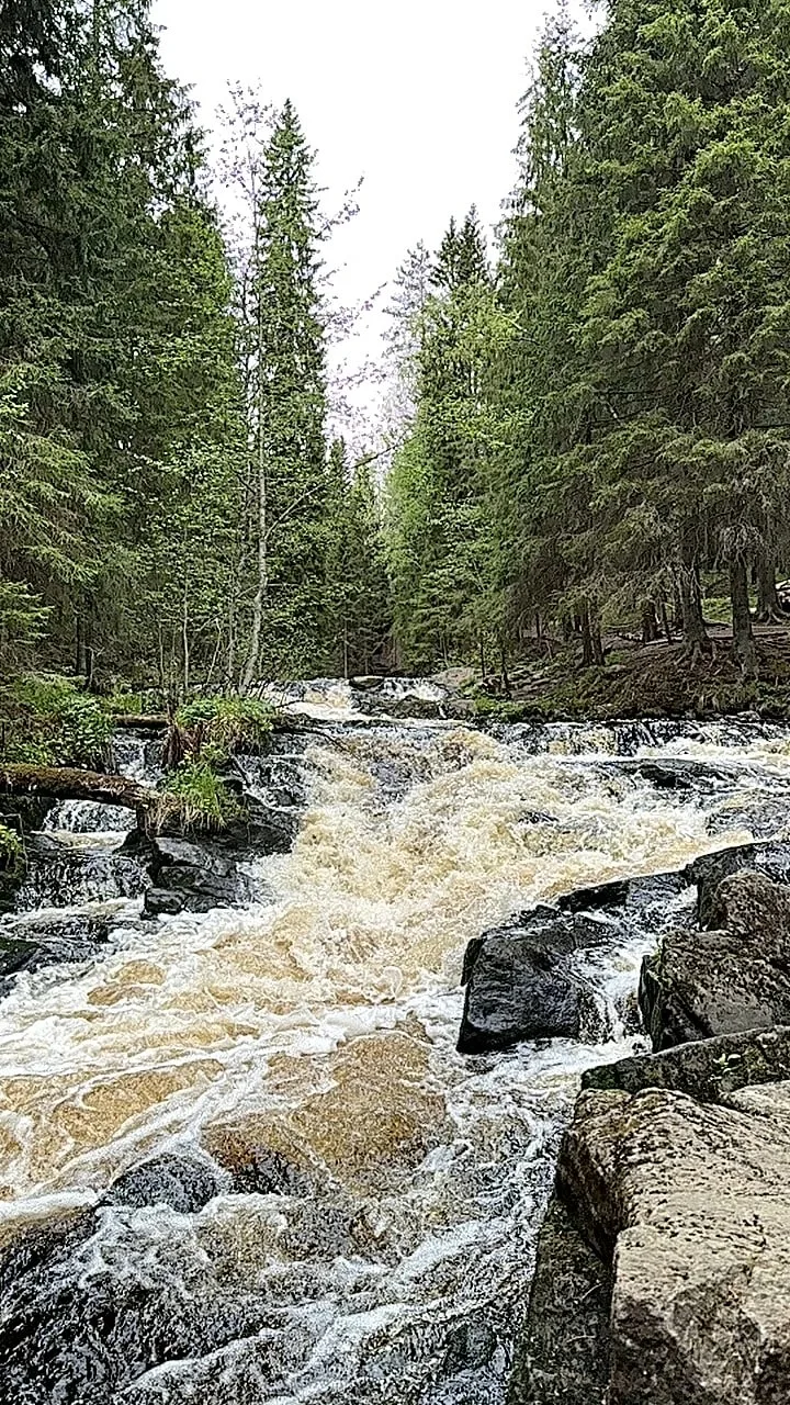 Ольга