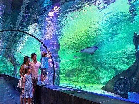 Стамбульский аквариум и отдых у моря в Aqua Florya