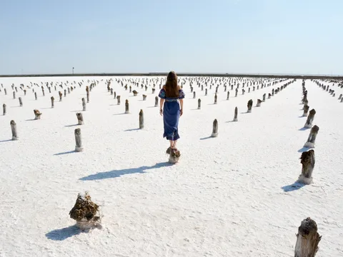 Солёное озеро Баскунчак и гора Богдо