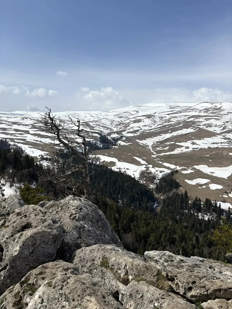 Наталия