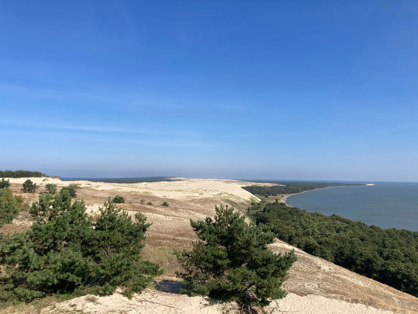 Куршская коса, Зеленоградск, замок Шаакен и сыроварня «Шаакен Дорф»
