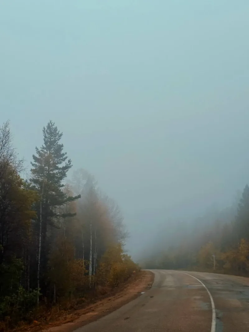 Ксения