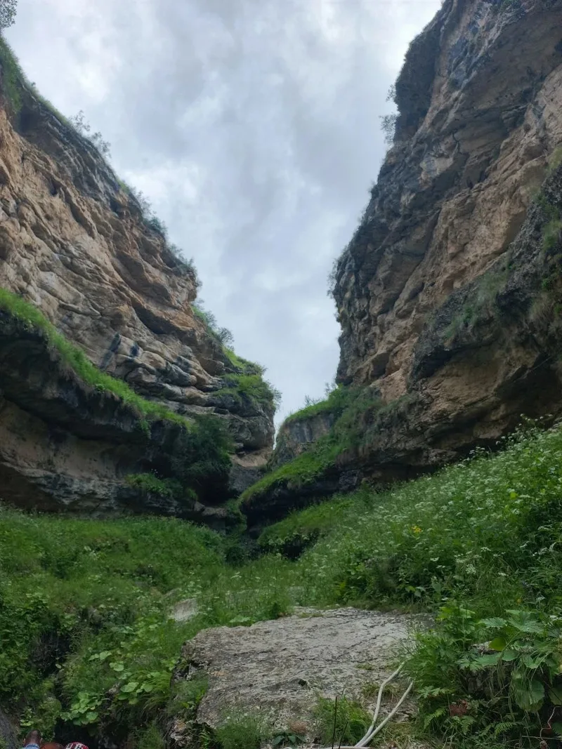 Алена