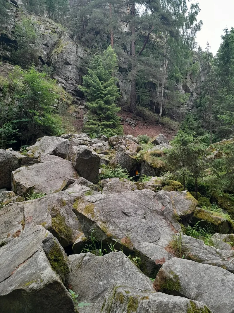 Наталья