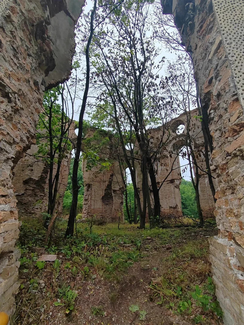 Маргарита