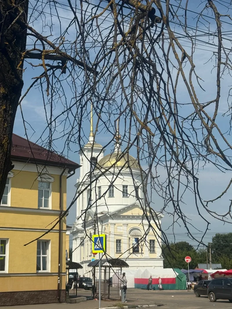 Леда