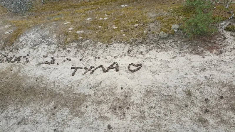 Наталья