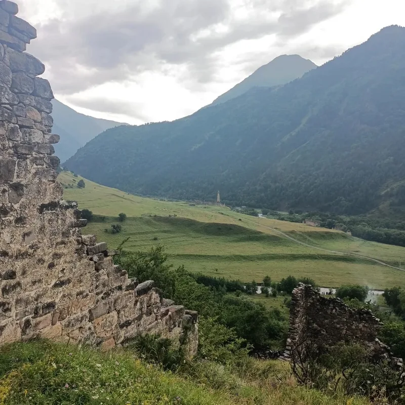 Алёна