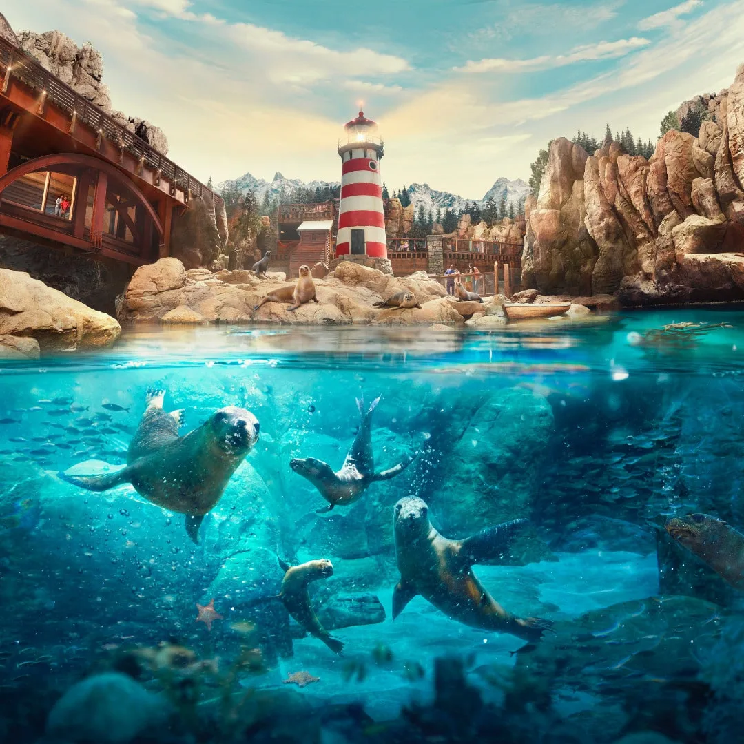 От полюсов до тропиков: тематический парк Sea World