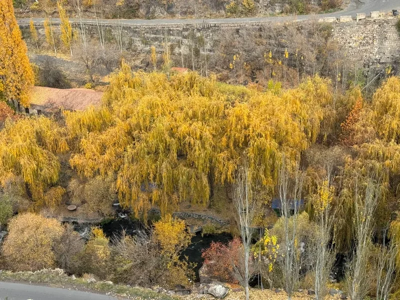 Наталья