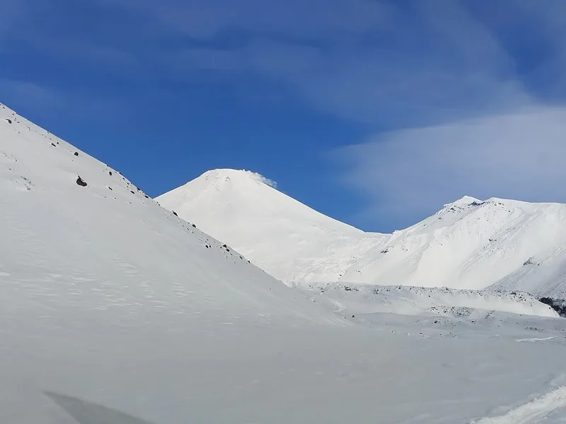 Ксения