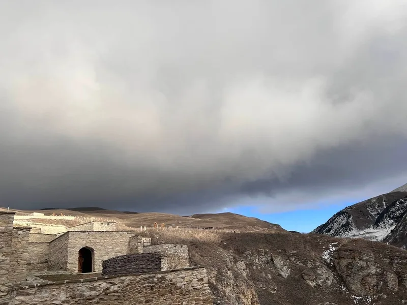 Алёна