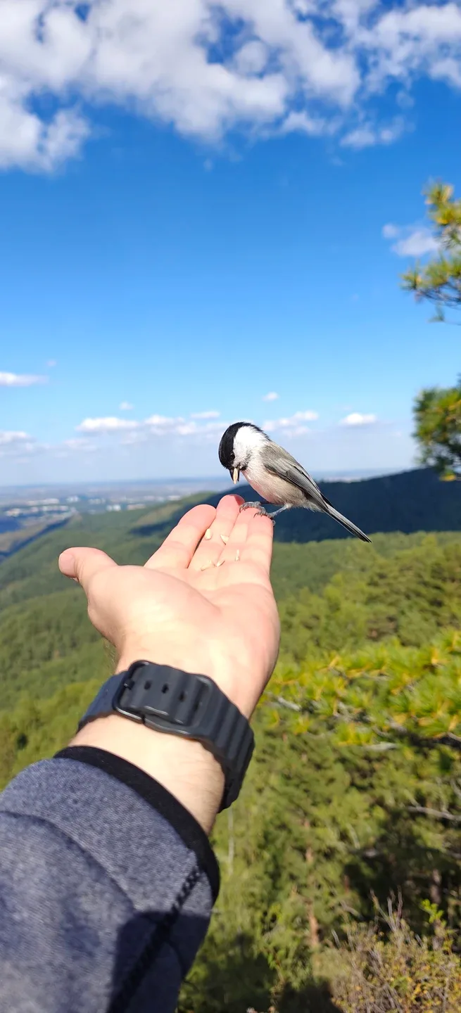 Юрий