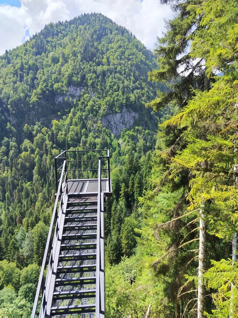 Ляйля
