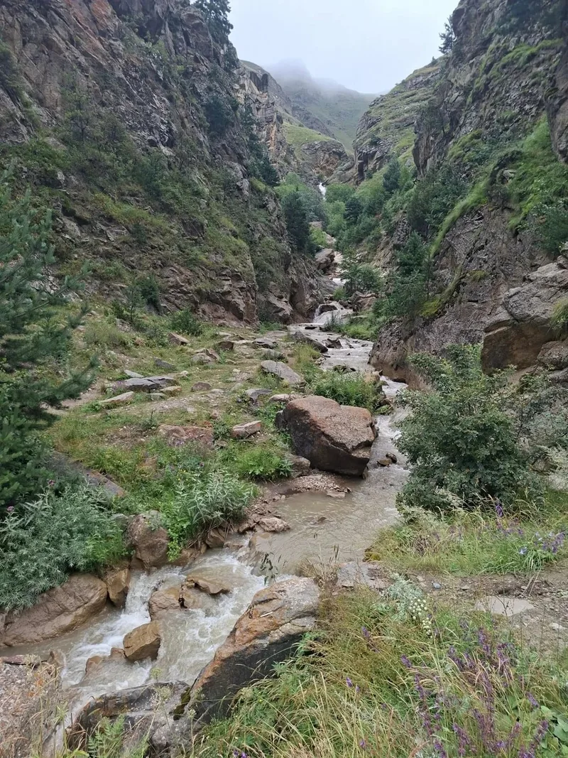 Наталия