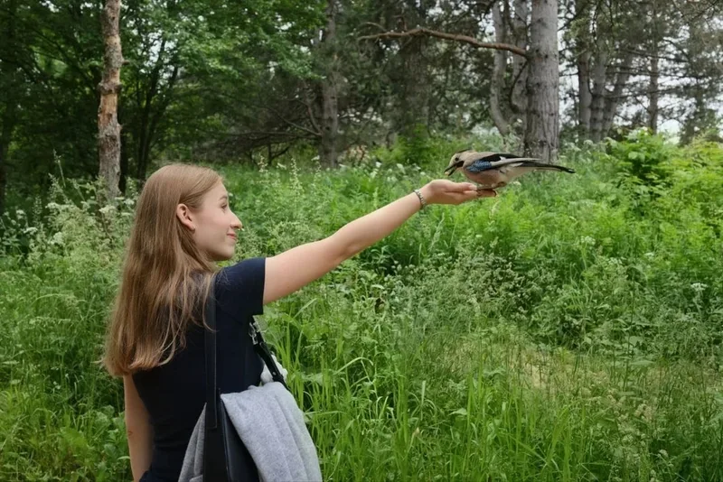 Елена