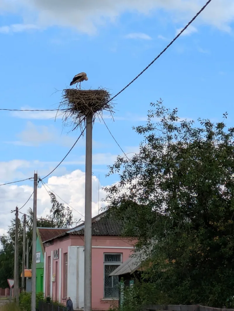 Ольга
