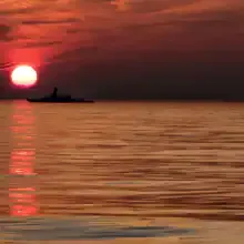 Янтарные