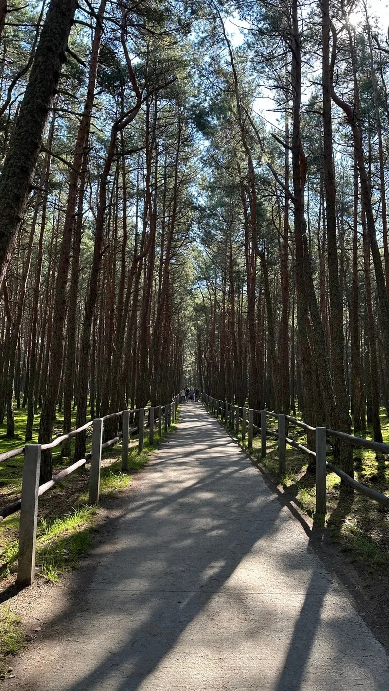 Полина