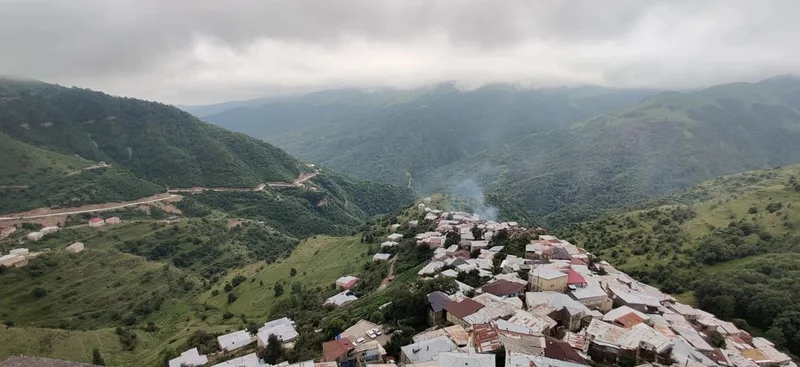 Лилия