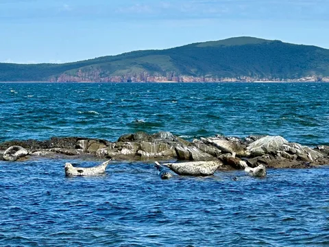 Морское путешествие по островам Японского моря