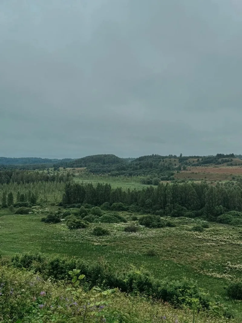 Елизавета