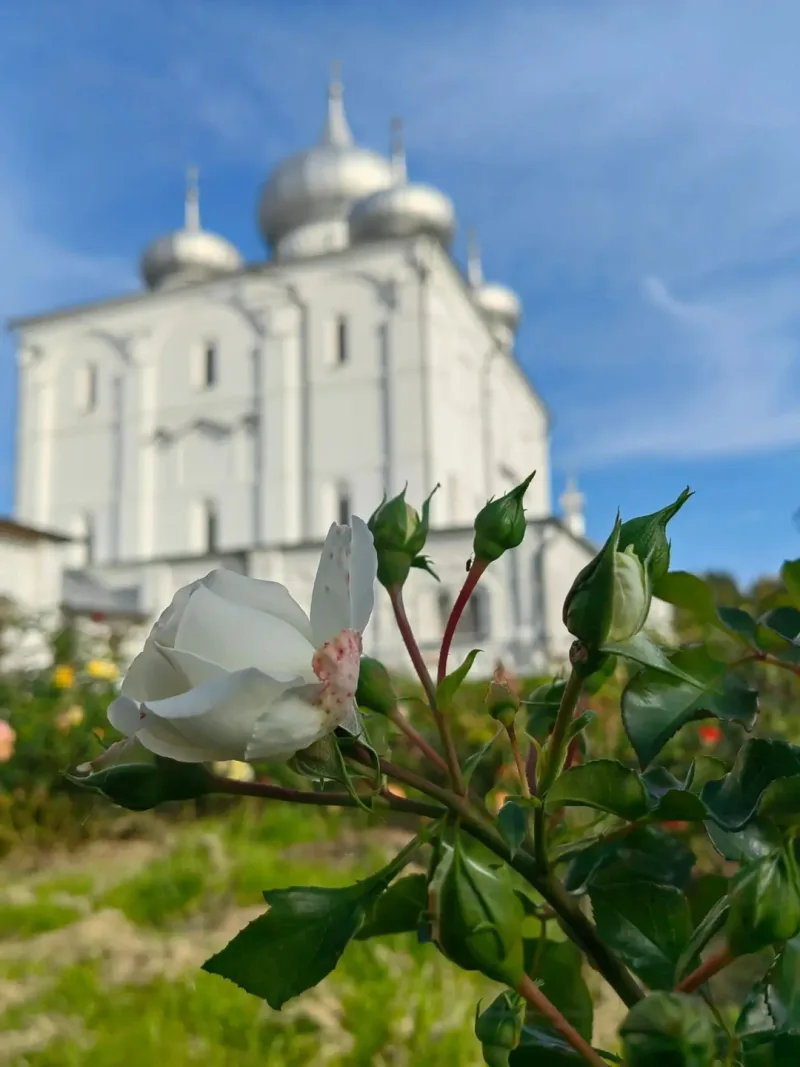 Татьяна