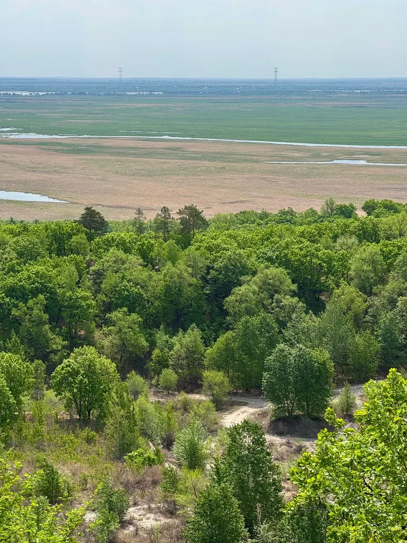 Петрова