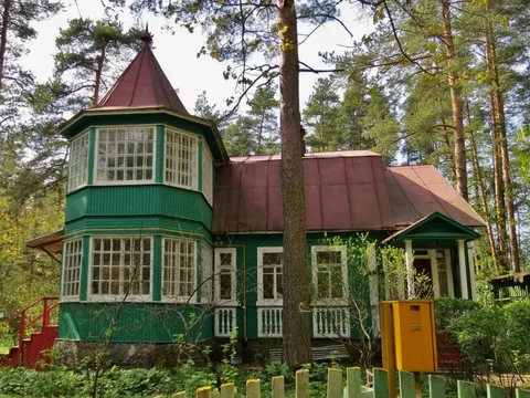Большая прогулка по Комарово