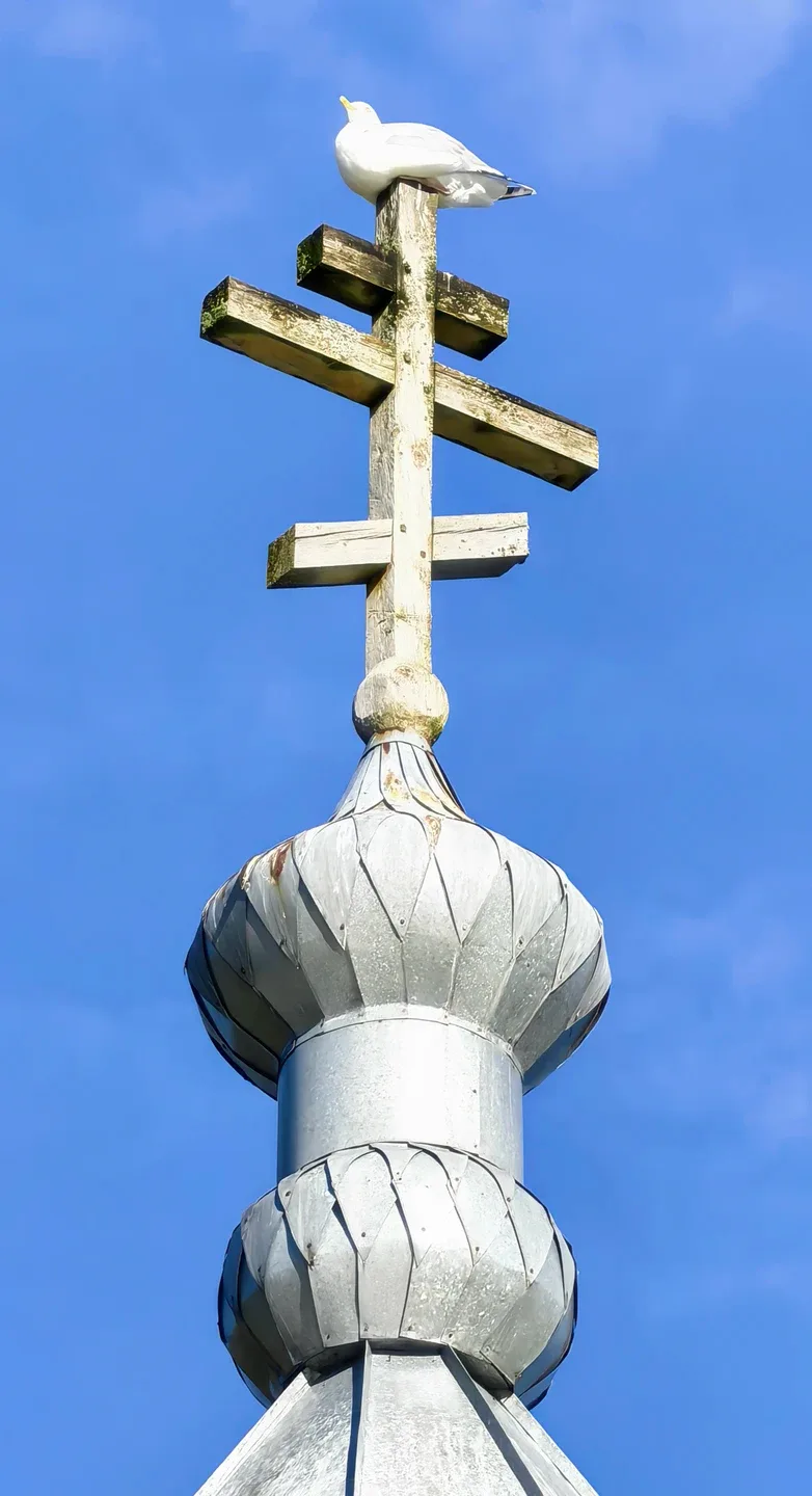 Светлана
