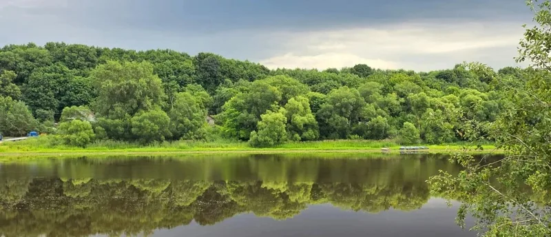 Веневцева