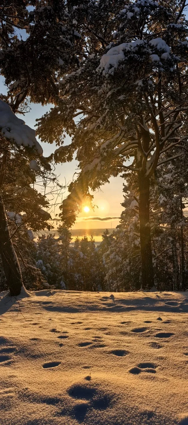 Башлуева