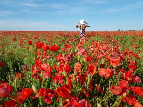 Экскурсия «Живописный Крым»