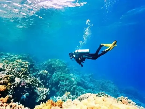 Подводный мир Фетхие: дайвинг с обедом и трансфером