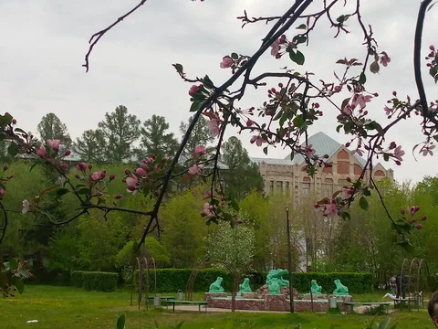 Шаг в прошлое из будущего