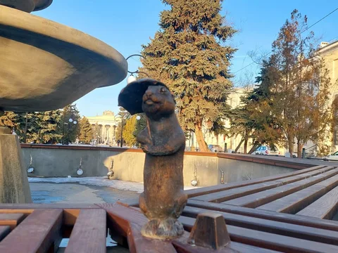 Волжский: фотоохота на сусликов