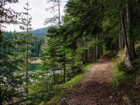 Дикая красота Черногории