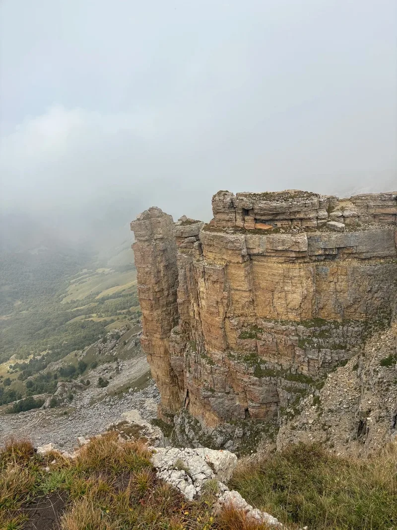 Алена