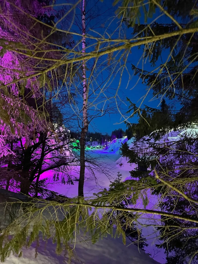 Полина