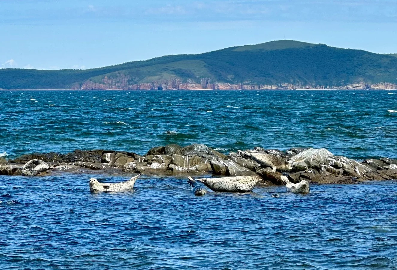 Морское путешествие по островам Японского моря