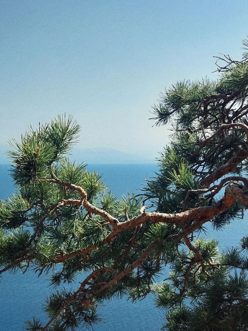 Мария