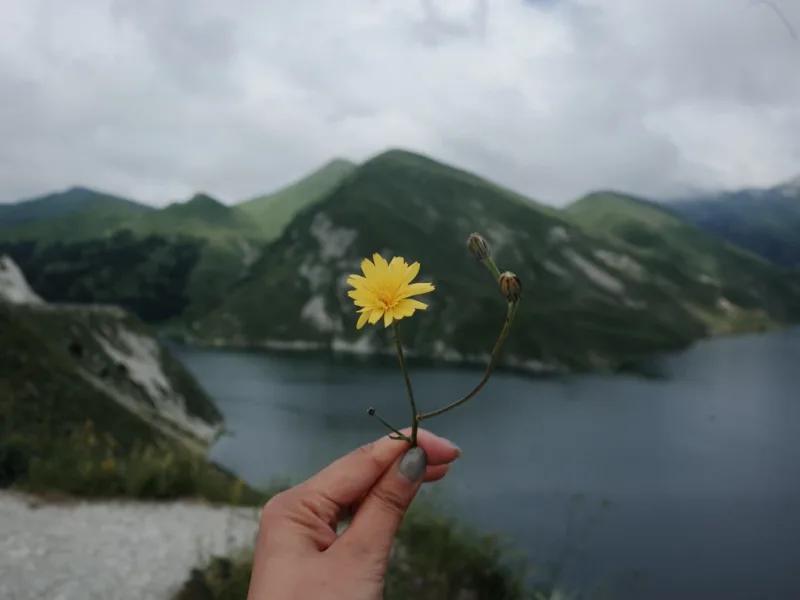Xiaoxuan